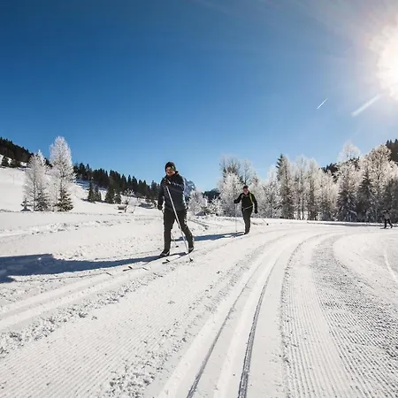Haitzmann Lägenhet *