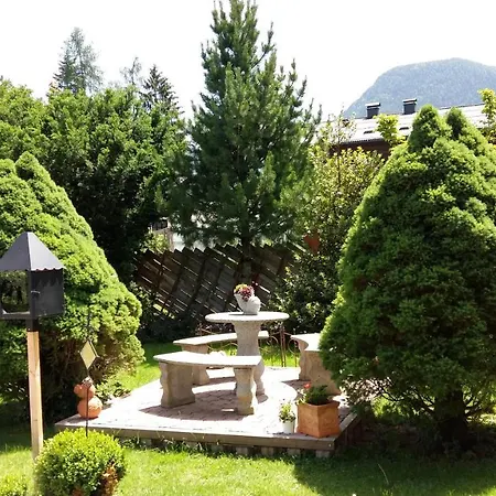 Apartment Haitzmann *